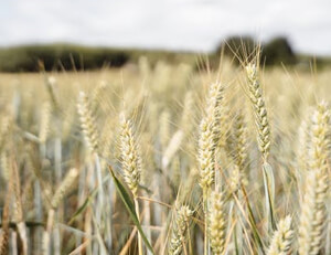 shadowrocket小火箭:启动win7电脑出现黑色背景,无法加载到桌面怎么办